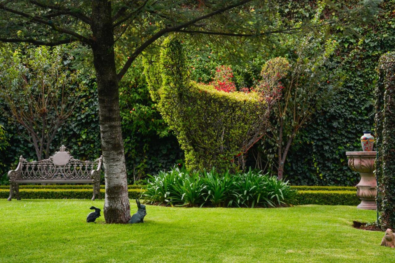 Quinta Del Rey Hotel Toluca Buitenkant foto